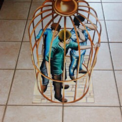 La cage- Claire Laurent