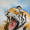 Tigre