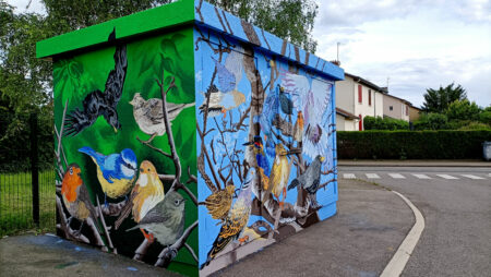 Transfo-Face-Tourterelles--Côté-Oiseaux