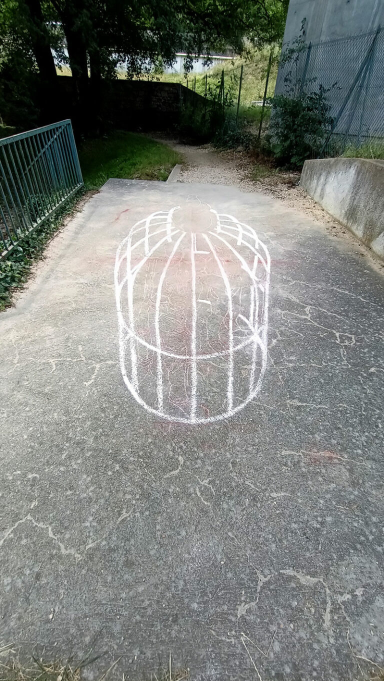 Cage trompe-l'oeil- Claire Laurent