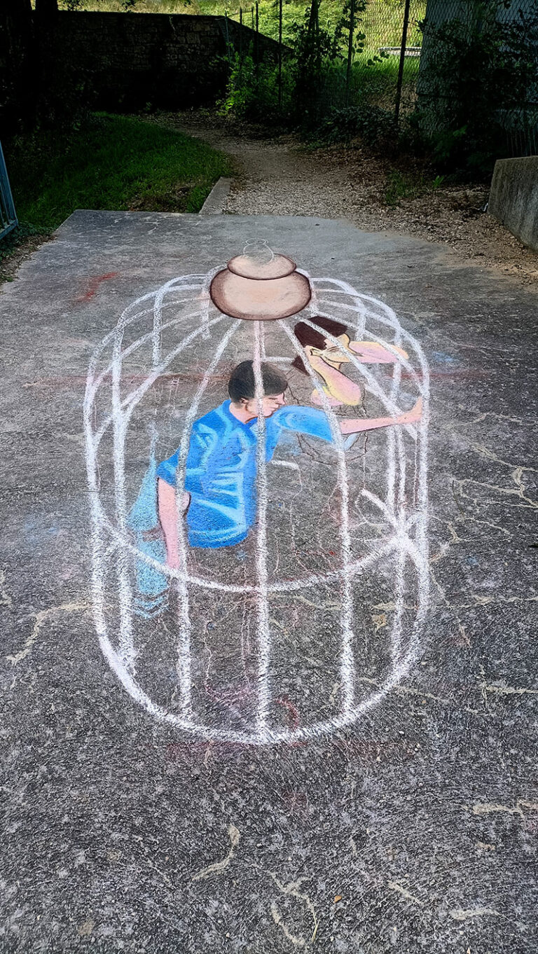 Cage trompe-l'oeil (2)- Claire Laurent