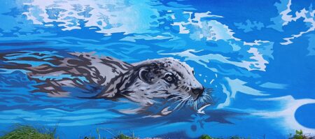 Loutre